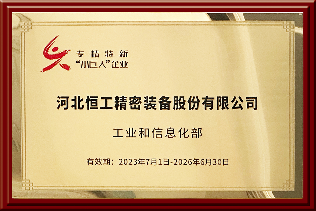 國家專精特新“小巨人”企業(yè)